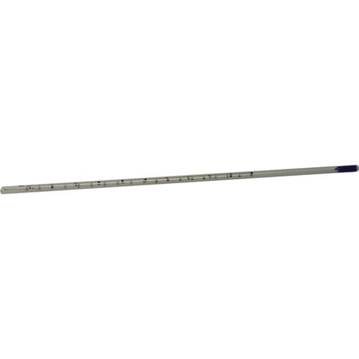 Paterson 12in Thermometer 60-150F
